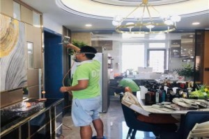 鐵嶺除甲醛 守護健康家居，科學治理刻不容緩